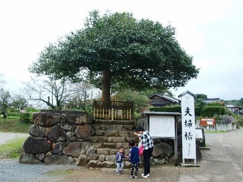 出雲國神仏霊場第14番 八重垣神社 (島根県松江市)