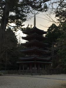 海住山寺のみどころ 変わった国宝・五重塔が見れる
