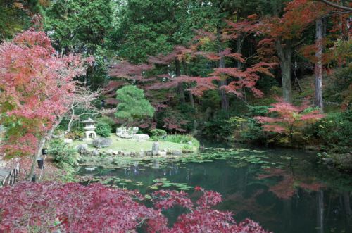 金戒光明寺~紅葉の美しい池泉回遊式庭園~