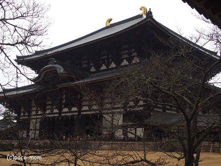 東大寺 4 垂涎の「和の心 仏像コレクション」 (2017年1月22日 冬の京都・奈良)