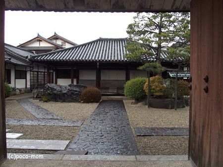 チラリ、十輪院 (2017年1月22日 冬の京都・奈良)
