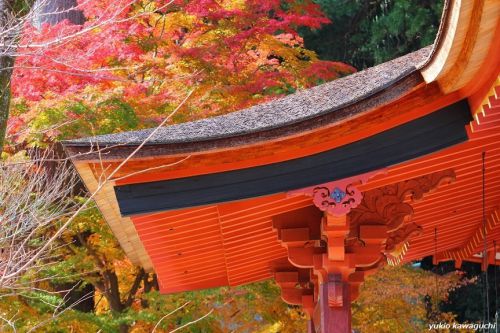紅葉の談山神社　　[ 奈良・大和路の古社 探訪！ 多武峰・談山神社　≪ Tanzan-Jinja （ Tanzan　Shrine ）≫　No.4  ]