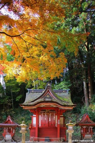 紅葉の談山神社　　[ 奈良・大和路の古社 探訪！ 多武峰・談山神社　≪ Tanzan-Jinja （ Tanzan　Shrine ）≫　No.5  ]