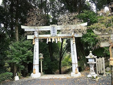 悠久の時を刻む武雄神社のご神木 見開きの御朱印は金色のご神木が素敵!