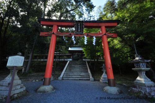 神功皇后ゆかりの月延石が残る松尾大社摂社・月読神社