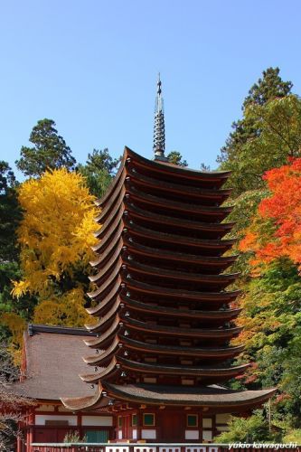 紅葉の談山神社　　[ 奈良・大和路の古社 探訪！ 多武峰・談山神社　≪ Tanzan-Jinja （ Tanzan　Shrine ）≫　No.8  ]