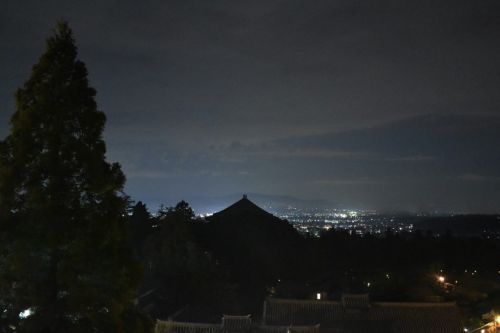 奈良の見どころ その30 東大寺 修二会(お水取り)