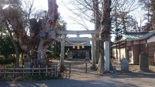 胸形神社
