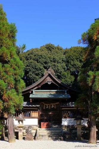 桶狭間の戦いに ゆかりある神社! 桶狭間神明社 No.9
