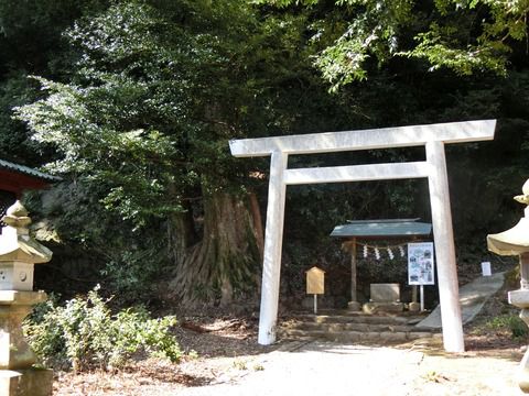 2017/2/25(日) 白山神社  静岡県