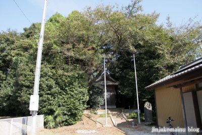 熊野神社(桶川市舎人新田)