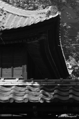 名古屋東照宮 No.7