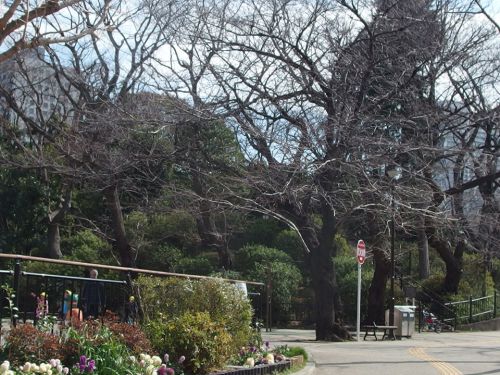 亀塚公園 - 「竹芝寺伝説」を今に伝える・屋敷跡に整備された公園