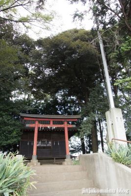 八雲神社(桶川市坂田)
