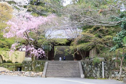 嵐山 法輪寺 2017春