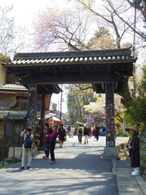 一目千本、吉野の満開の桜と素敵な御朱印帳 水神社(1)