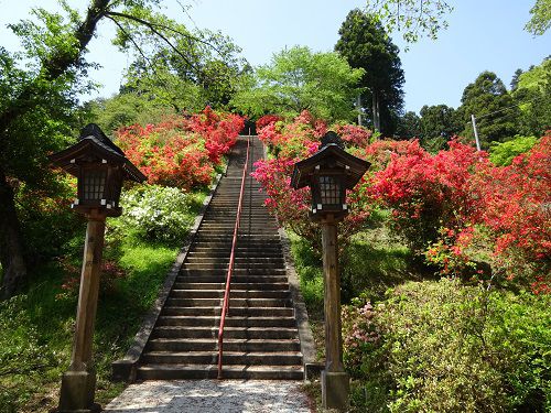 青梅市のつつじの名所の一つ、柚木町の出世階段のある愛宕神社を訪ねる! 2017年4月30日