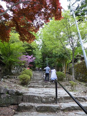 ひめちゃご75 英彦山神宮 奉幣殿
