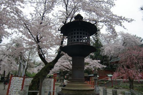 2017/4/8(土) 太田 徳川氏発祥の地 世良田東照宮 群馬県