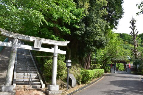 妙見寺の狛犬達