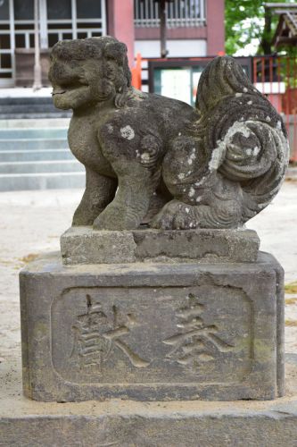 青渭神社(稲城)の狛犬達