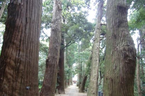 2017/4/22(土) 日吉神社(ひよしじんじゃ) 千葉県