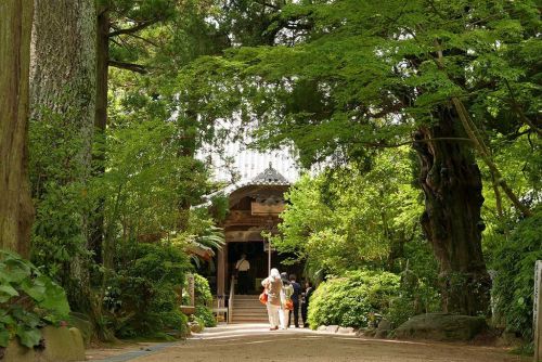 医王山 浄瑠璃寺 【四国88-46】