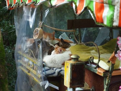 可愛すぎる猫ゴンドラと「熊野若王子(くまのにゃくおうじ)神社」の御朱印