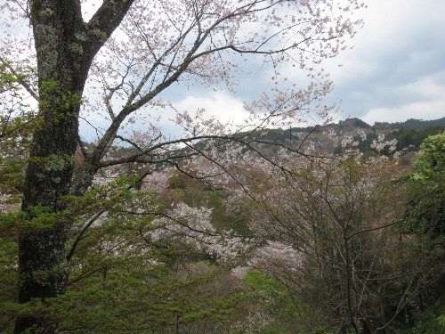 大峯山護持院 竹林院(2017年4月15日参拝)