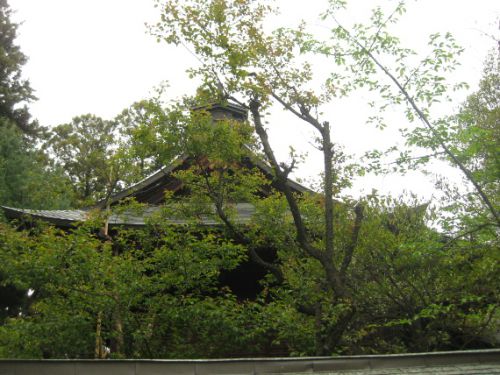 ▼一宮浅間神社(甲斐)-夫婦梅・斎田▼