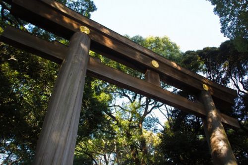神社の鳥居で不安・ストレスが改善される方法とは