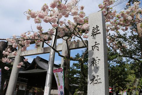 神社巡り 荘内神社(山形県鶴岡市)