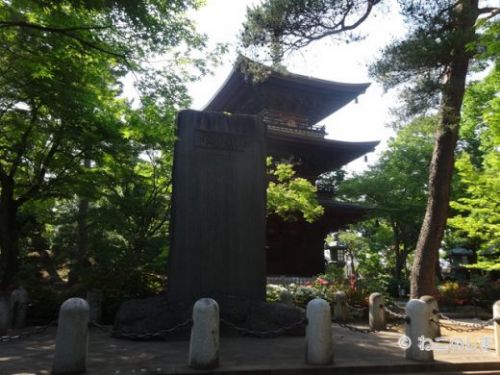 東京の猫寺 – 豪徳寺と護国寺にて、猫と招き猫にであう