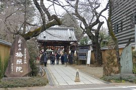 新井薬師梅照院(平成29年初薬師)