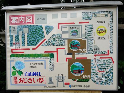文京あじさい祭 白山神社