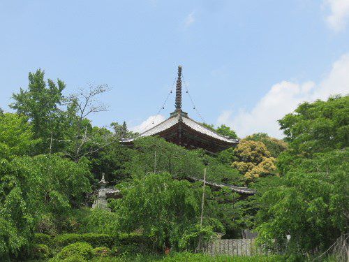 真光院 熊谷寺(2017年5月14日参拝)