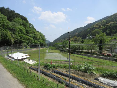 【西国33巡礼】Day14-2.毎晩汗びっしょりで地獄の人々を救済する「汗かき観音」を祀る第12番札所「岩間寺」の御朱印