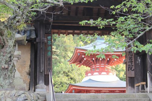 九度山にある女人高野慈尊院へのアクセスと駐車場
