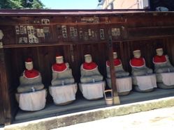 国分寺 高山市 樹齢1200年