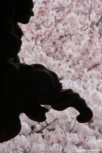 知多四国八十八ヶ所 第四番霊場の 宝龍山 延命寺 No.13