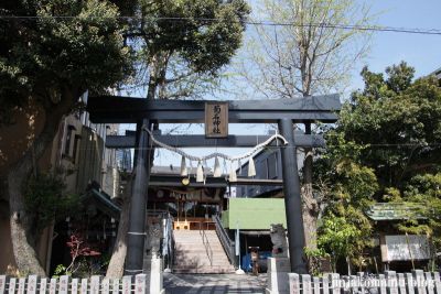 菊名神社(横浜市港北区菊名)