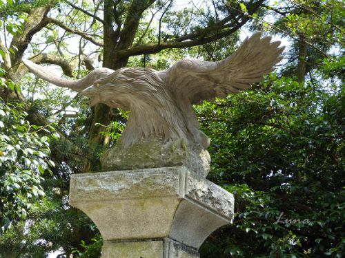 隼鷹神社 運命の高木の神