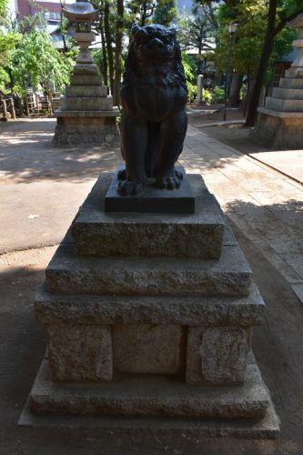 鳩森八幡神社の狛犬達