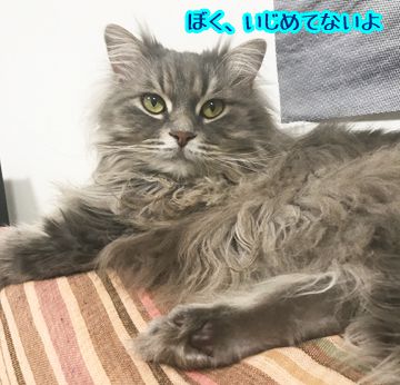 うみちゃん、病院に行きました