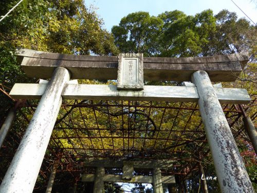 ひめちゃご90 姫古曽神社 蘇る社殿