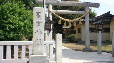 「なでうなぎ」平柳 星宮神社(栃木県栃木市)