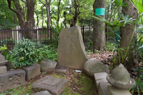 新宿新都心と神宮外苑のみち その参