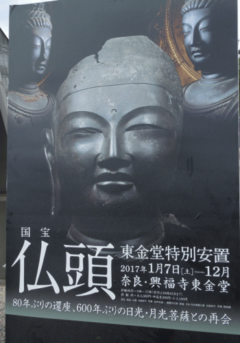 興福寺仏頭の大きさと歴史・特徴!なぜ山田寺から東金堂に移された?