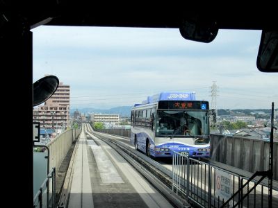 名古屋・龍泉寺の円空仏