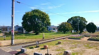 国府遺跡(藤井寺市) ・国史跡に指定された旧石器時代から中世までの複合遺跡
